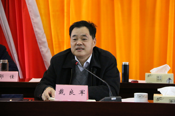集團黨委委員、副總經(jīng)理、總工程師戴良軍發(fā)表講話